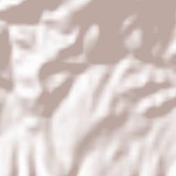 Ribnica na Pohorju Terrain Map