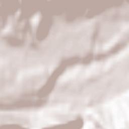 Selnica ob Dravi Terrain Map