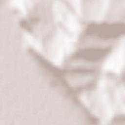 Comuna Viişoara Terrain Map