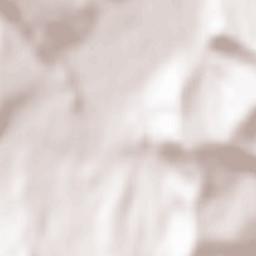 Căpușu de Câmpie Terrain Map