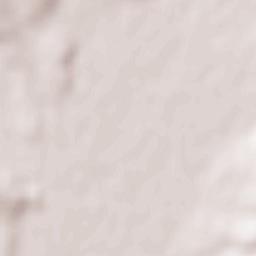 Tomești Terrain Map