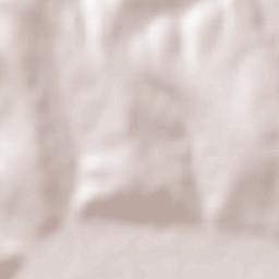 Ardeoani Terrain Map