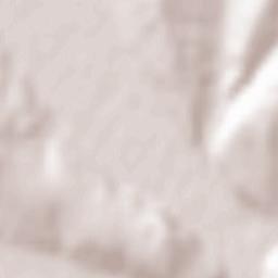 Scorţeni Terrain Map