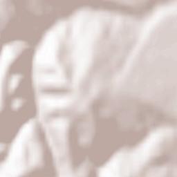 Comuna Luizi-Cãlugãra Terrain Map