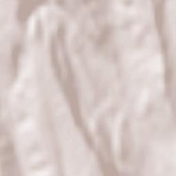 Comuna Bogdana Terrain Map