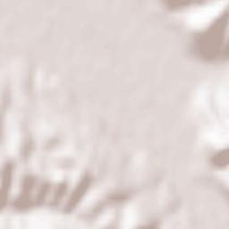 Comuna Câmpani Terrain Map