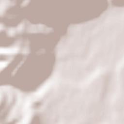 Moldoveneşti Terrain Map