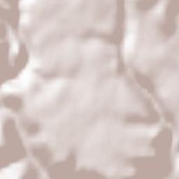 Vărşag Terrain Map