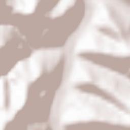 Comuna Lunca de Sus Terrain Map