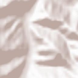 Comuna Palanca Terrain Map