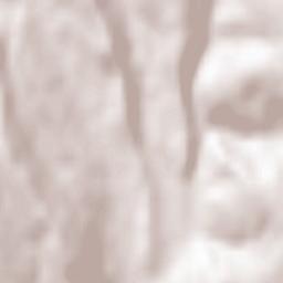 Ghergheşti Terrain Map