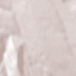 Costeşti Terrain Map