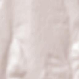 Albeşti Terrain Map