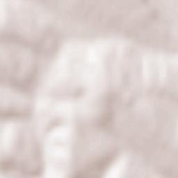 Cimişlia Terrain Map