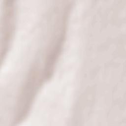 Ştefan Vodă Terrain Map