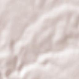 Champdeniers-Saint-Denis Terrain Map