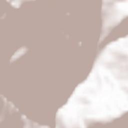 Livinallongo del Col di Lana Terrain Map