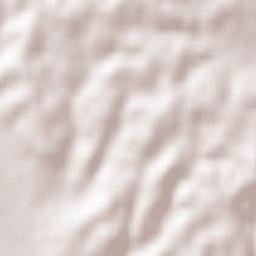 Sveti Tomaž Terrain Map