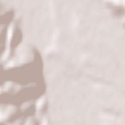 Oraş Vaşcãu Terrain Map