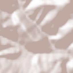 Arieşeni Terrain Map