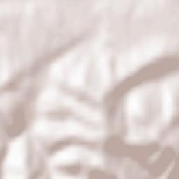 Comuna Moldoveneşti Terrain Map