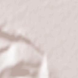 Călăraşi Terrain Map