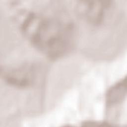 Lechința Terrain Map