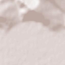 Vidrasău Terrain Map