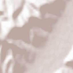 Trei Sate Terrain Map