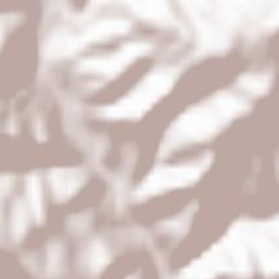 Apa Asău Terrain Map