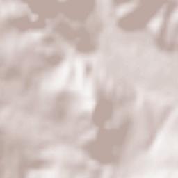 Municipiul Moineşti Terrain Map