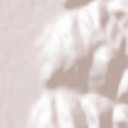 Comuna Tamaşi Terrain Map