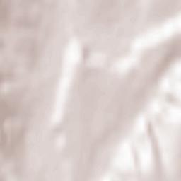 Parincea Terrain Map