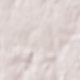 Saint-Trivier-de-Courtes Terrain Map