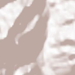 Kranjska Gora Terrain Map