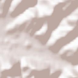 Mislinja Terrain Map