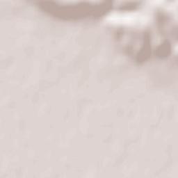 Comuna Cărand Terrain Map