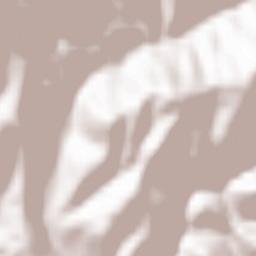 Comuna Moneasa Terrain Map