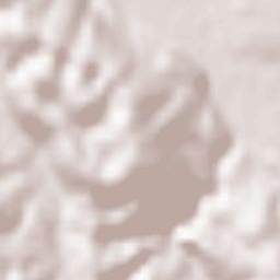 Vaşcău Terrain Map