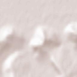 Gheorghe Doja Terrain Map