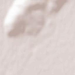 Comuna Racu Terrain Map