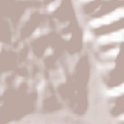 Comuna Asău Terrain Map