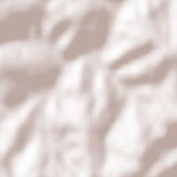 Bereşti-Tazlău Terrain Map