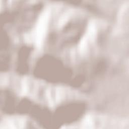 Comuna Nicolae Bălcescu Terrain Map