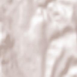 Onceşti Terrain Map