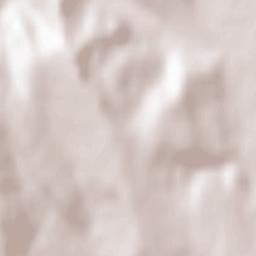 Comuna Puieşti Terrain Map