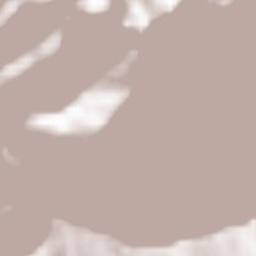 Fontana Nuova-Bevia Terrain Map