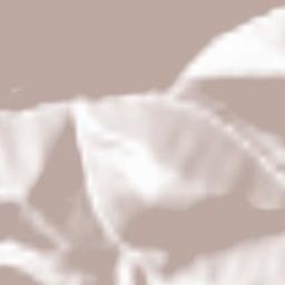 Nova Levante Terrain Map