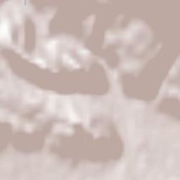 Enemonzo-Quinis Terrain Map