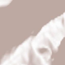 Mojstrana Terrain Map